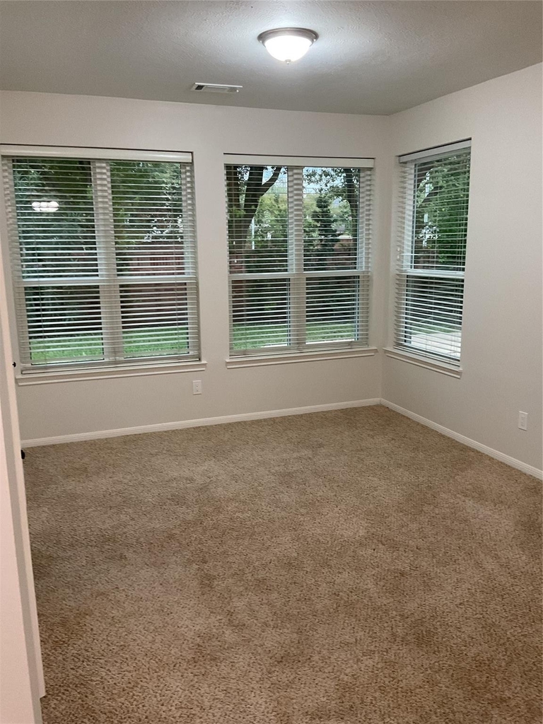 12110 Shadowpoint Drive - Photo 25