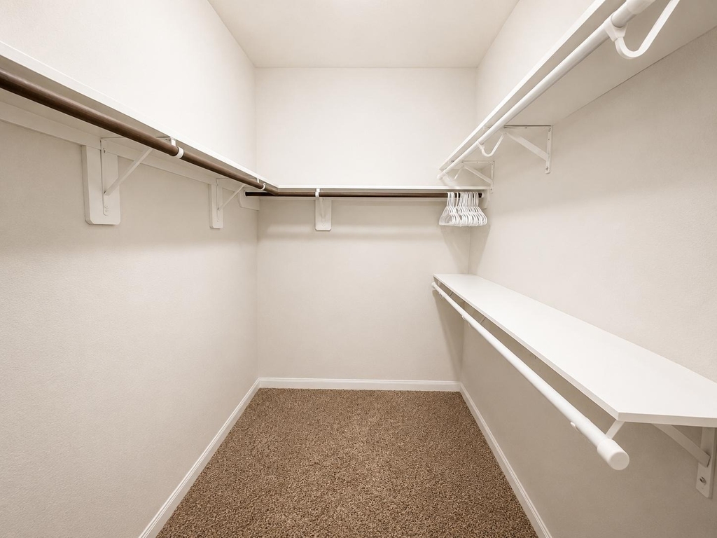 3910 Deledda Drive - Photo 12