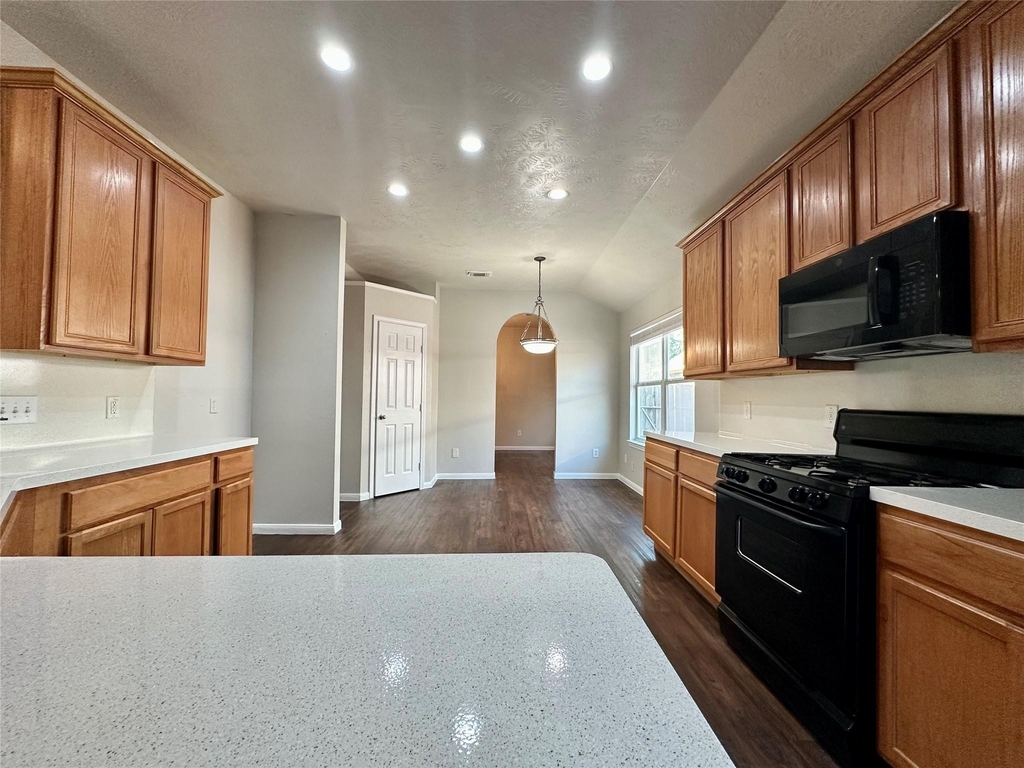 19011 Spring Meadows Lane - Photo 2
