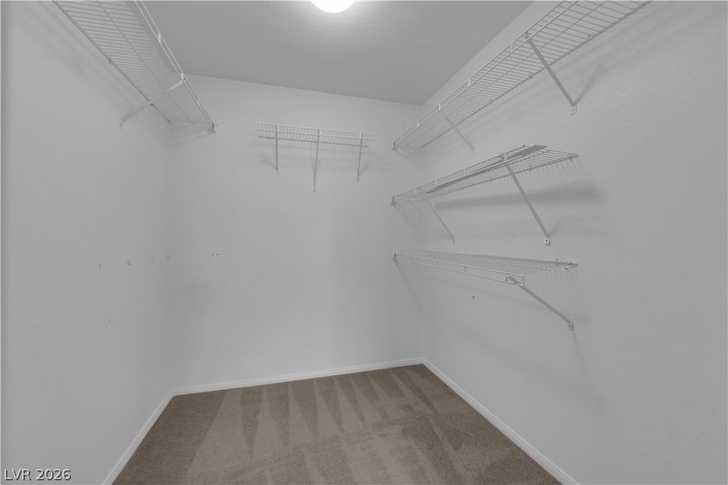 6836 Elm Creek Drive - Photo 18