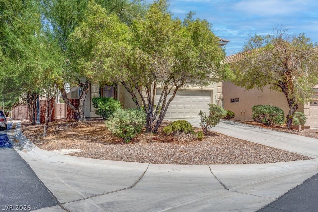 9548 Spring Blush Avenue - Photo 1