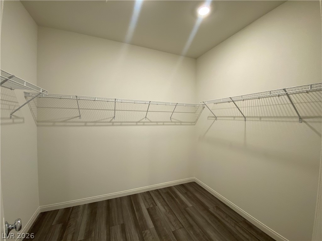 4231 Scarlet Cob Avenue - Photo 33