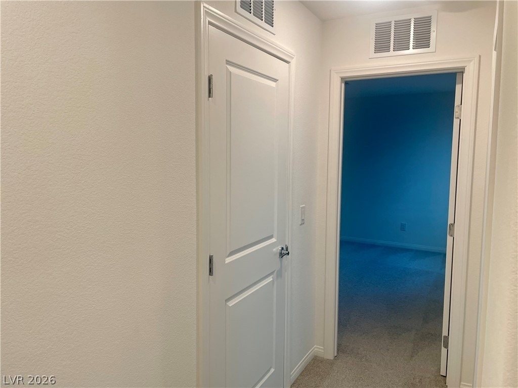 12243 Radiant Sunrise Road - Photo 22