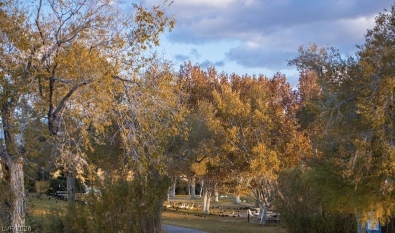 8852 Regatta Bay Place - Photo 76