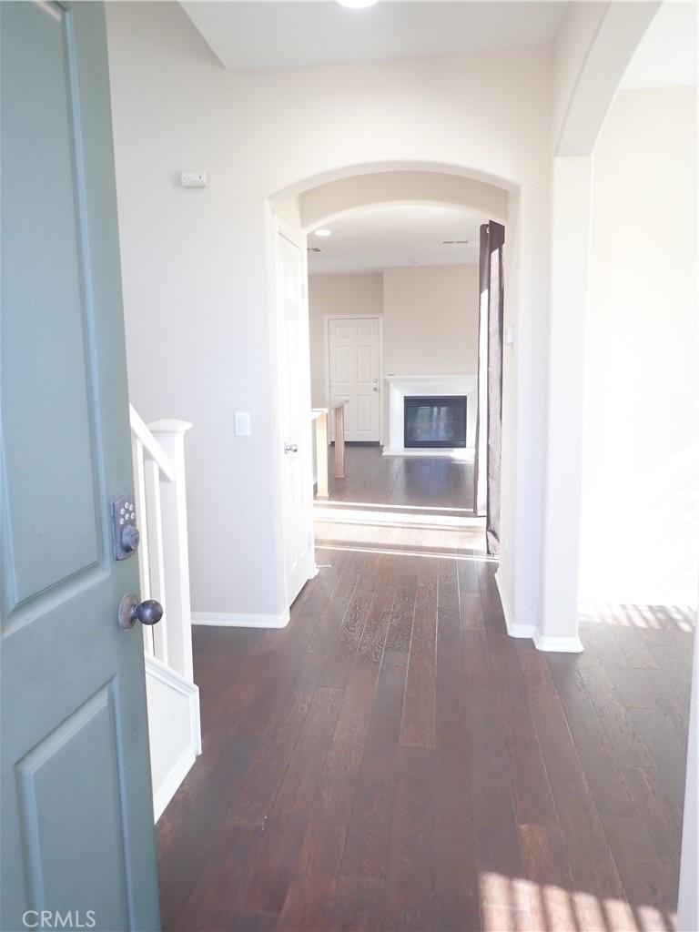 27605 Chicory - Photo 2