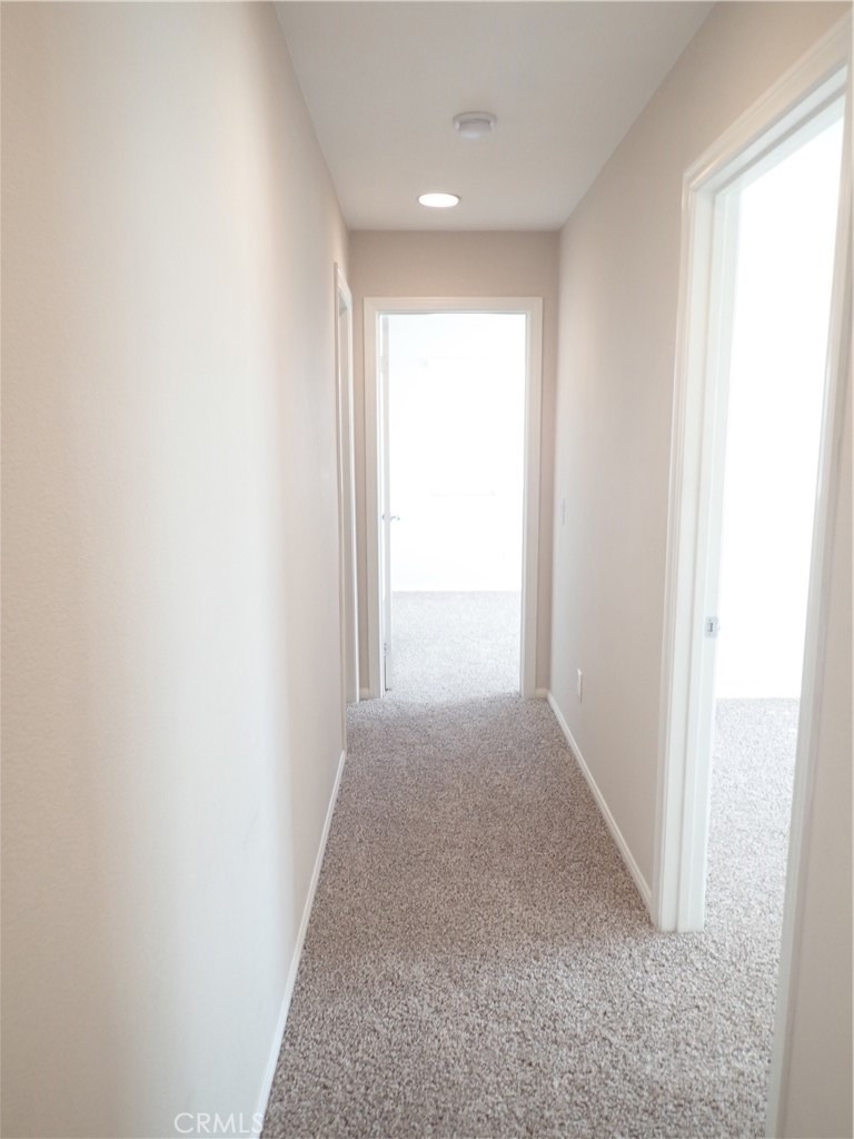 27605 Chicory - Photo 20