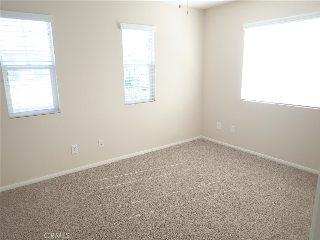 27605 Chicory - Photo 25