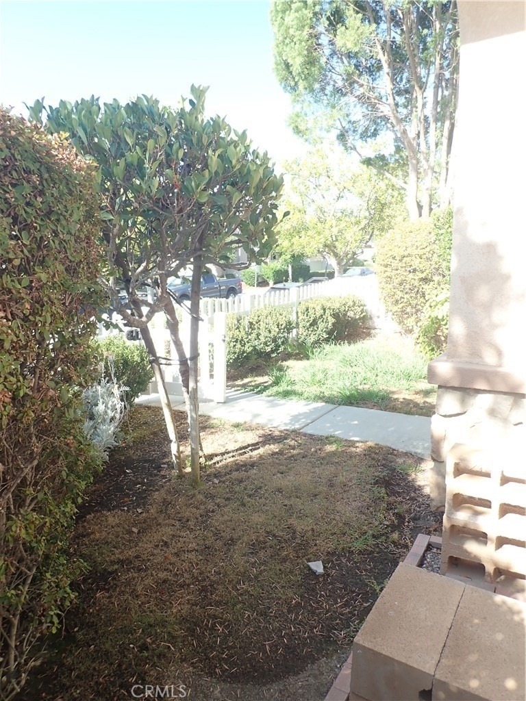 27605 Chicory - Photo 35