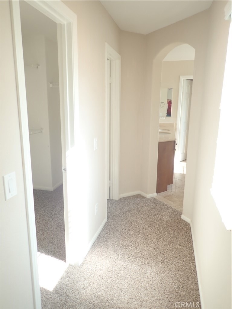 27605 Chicory - Photo 16