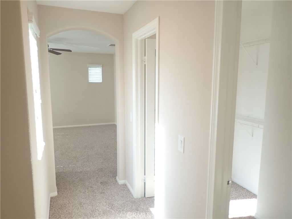 27605 Chicory - Photo 19