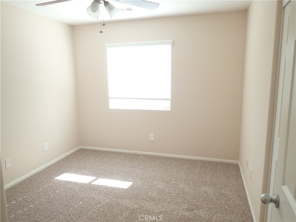27605 Chicory - Photo 23