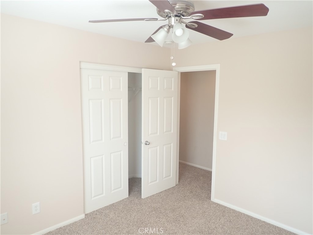 27605 Chicory - Photo 24