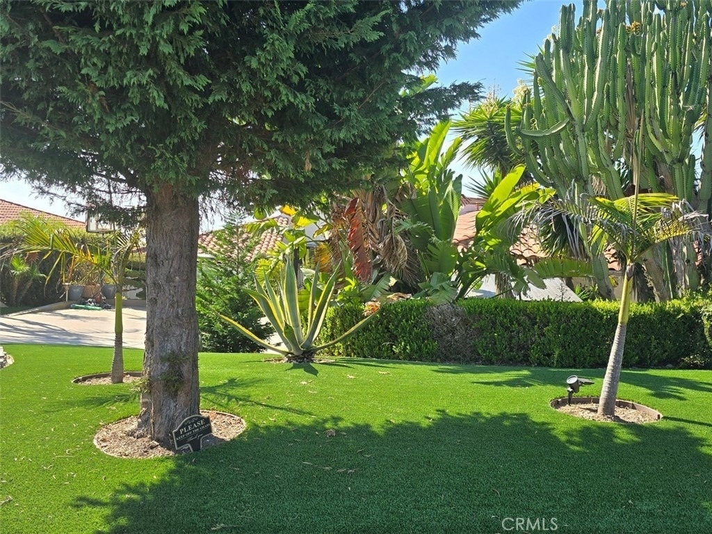 6759 Alta Vista Drive - Photo 40