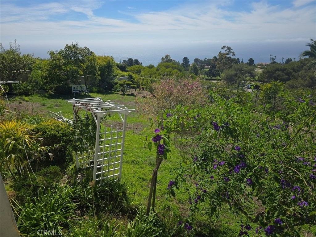 6759 Alta Vista Drive - Photo 24