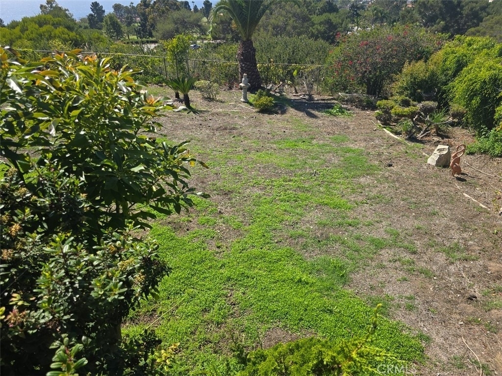 6759 Alta Vista Drive - Photo 29