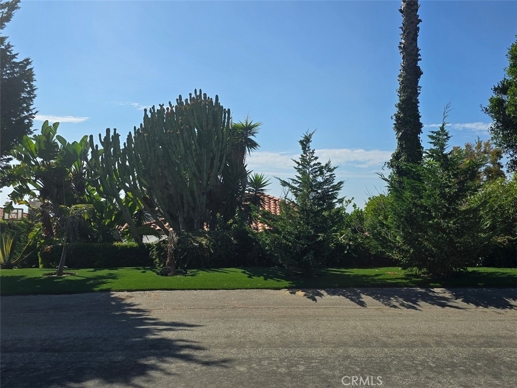 6759 Alta Vista Drive - Photo 39