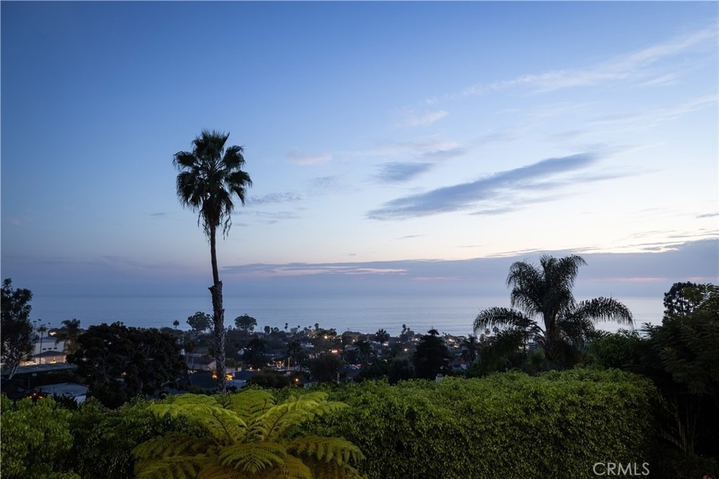 1061 Skyline - Photo 46
