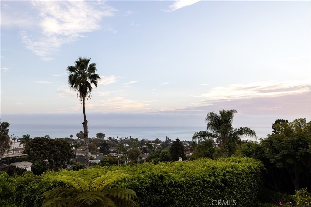 1061 Skyline - Photo 40