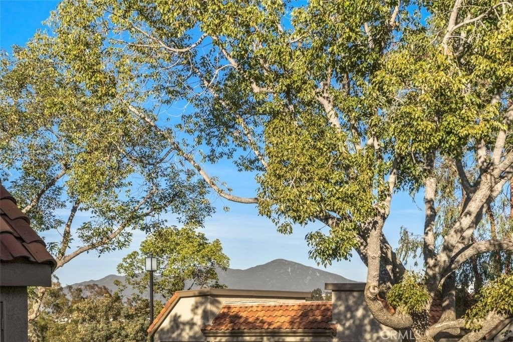 28101 Montecito - Photo 29