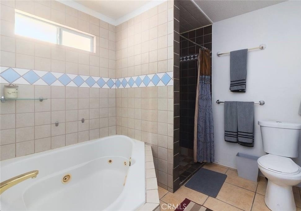 45472 Deglet Noor - Photo 9