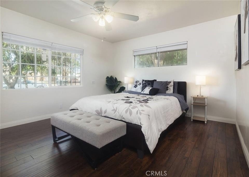 45472 Deglet Noor - Photo 7
