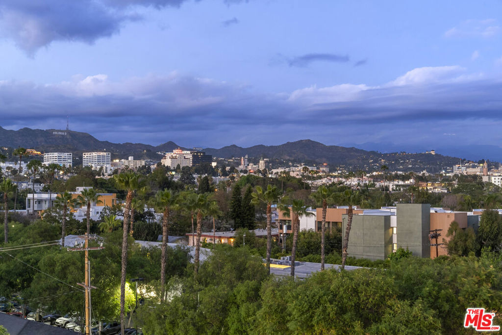 7428 Santa Monica Boulevard - Photo 46