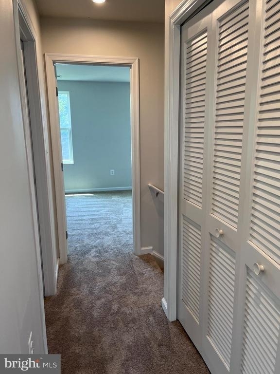 35201 Sara Court - Photo 12