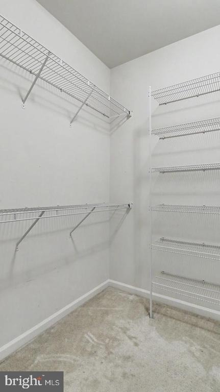 43031 Foxtrail Woods Terrace - Photo 25