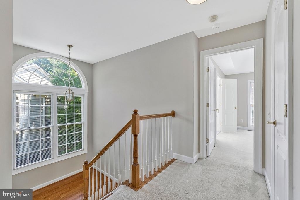 9546 Lagersfield Circle - Photo 19