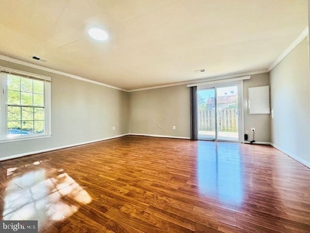 14401 Manassas Gap Court - Photo 4