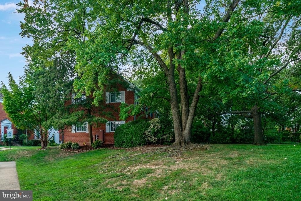 3200 Martha Custis Drive - Photo 28