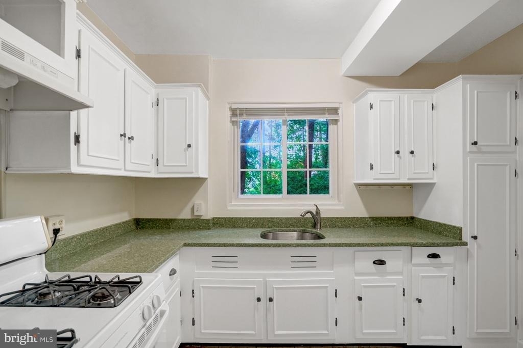 3200 Martha Custis Drive - Photo 5