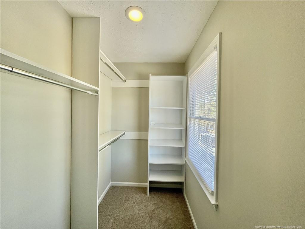 360 Bahama Loop - Photo 23