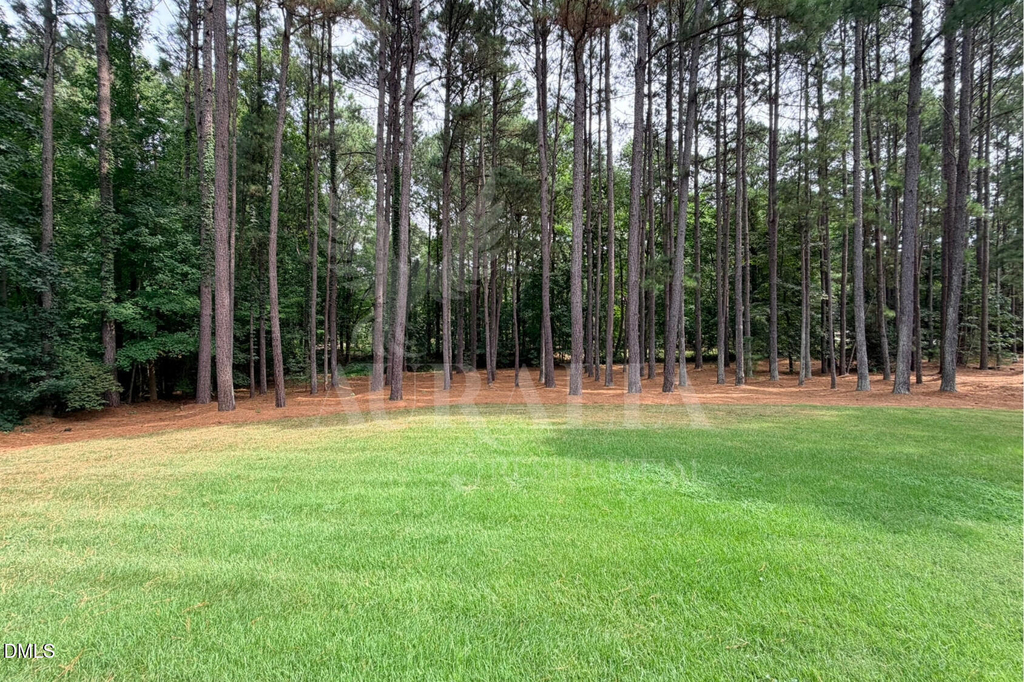 5604 Pine Rock Court - Photo 38