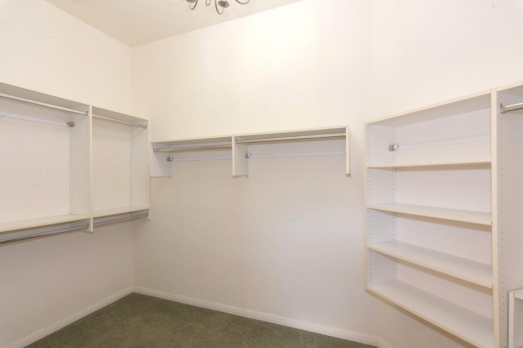 102 Harness Ln - Photo 16