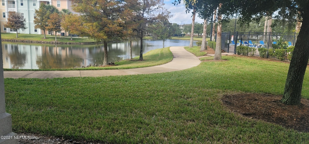 8215 Green Parrot Road - Photo 19