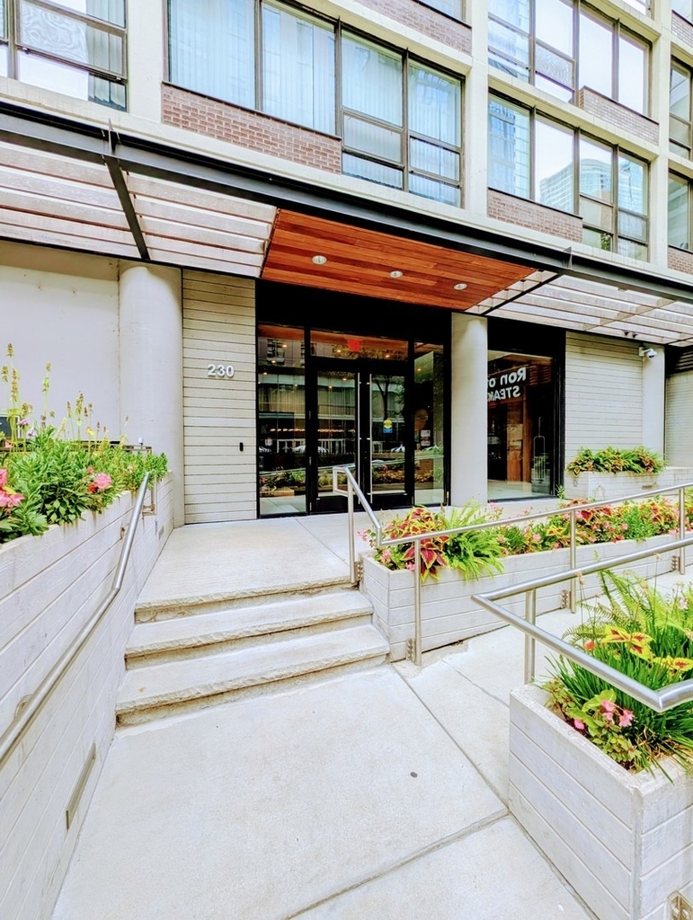 230 E Ontario Street - Photo 1