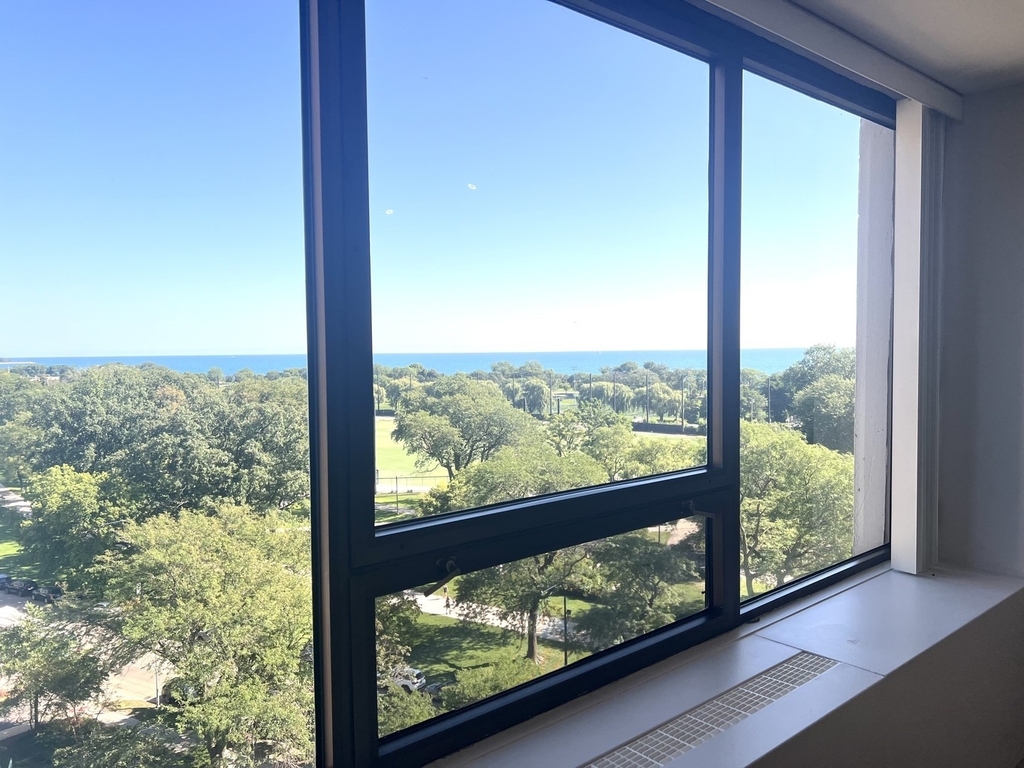 2800 N Lake Shore Drive - Photo 3
