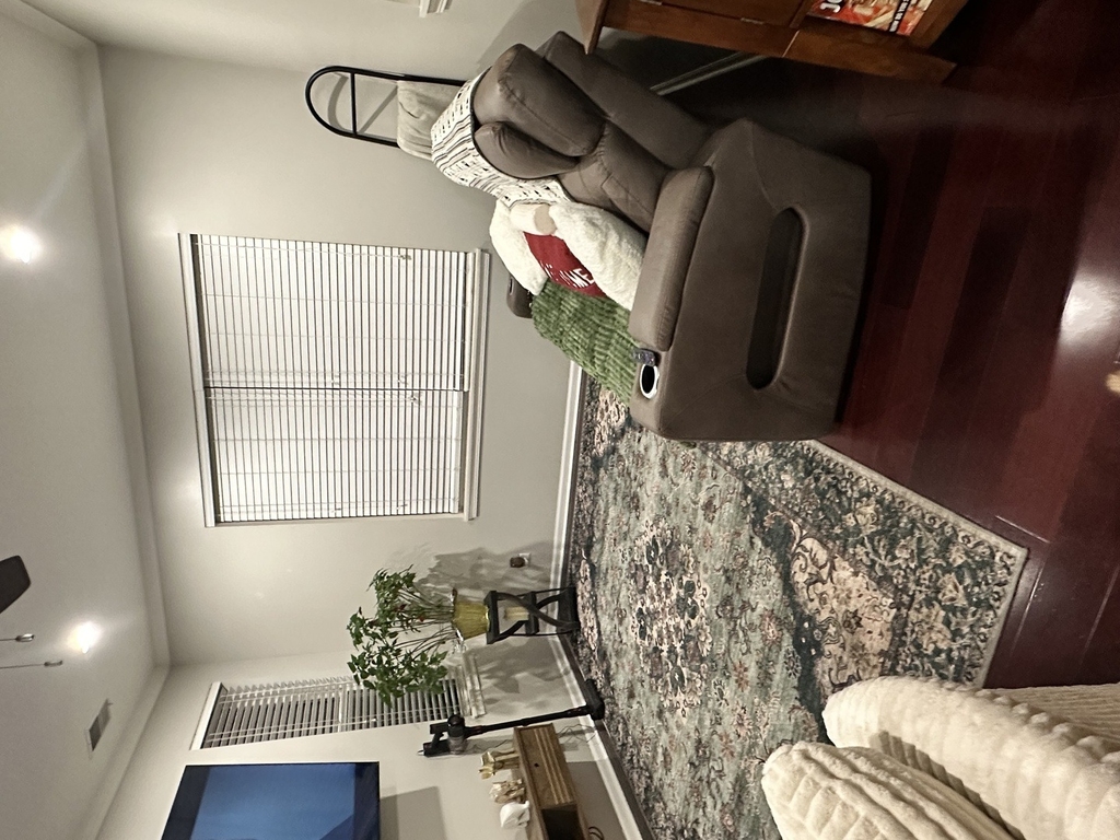 481 Silver Charm Drive - Photo 1