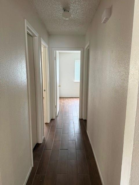 11323 Mulholland Dr - Photo 8
