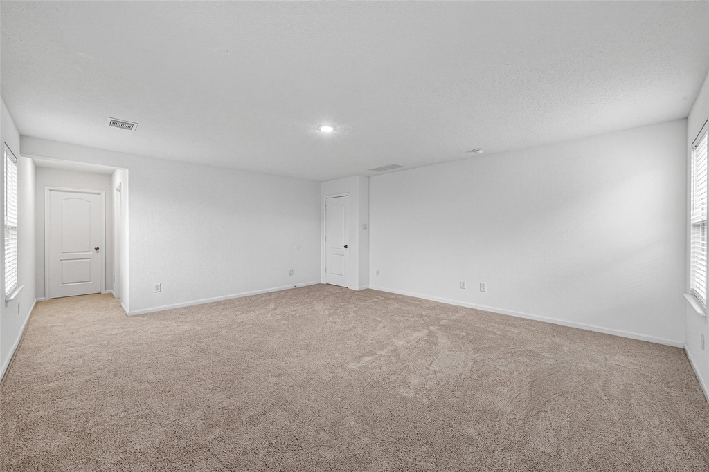 25319 Whitehaven Gate Street - Photo 14
