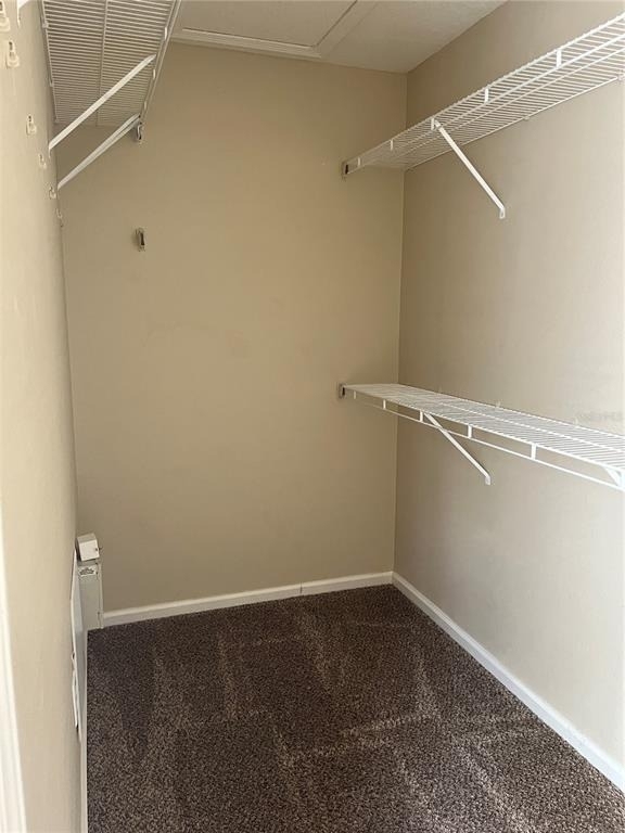 2751 Conch Hollow Drive - Photo 14