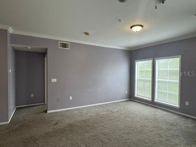 527 Water Street - Photo 3