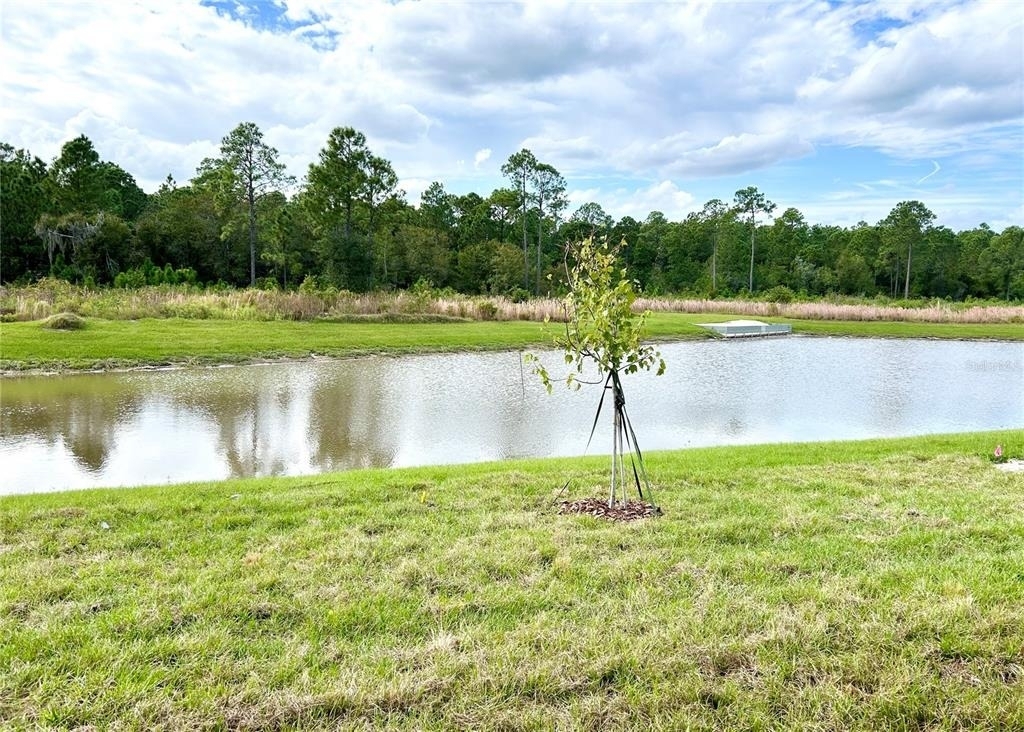 3349 Costello Circle - Photo 14