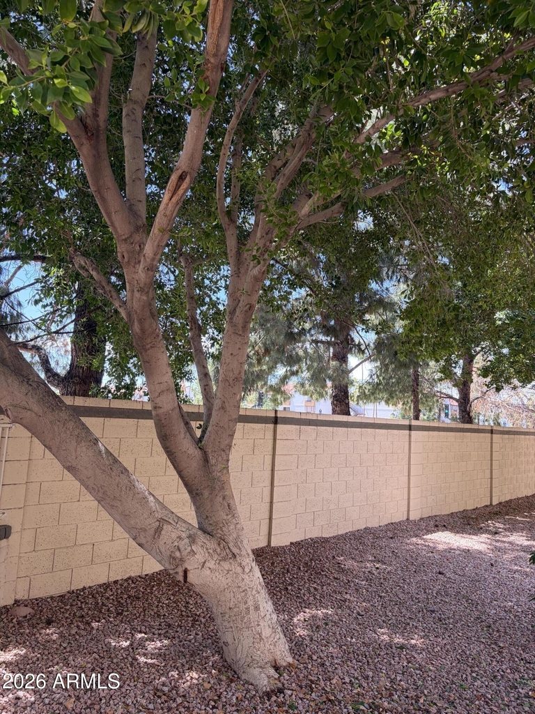 30 E Brown Road - Photo 31