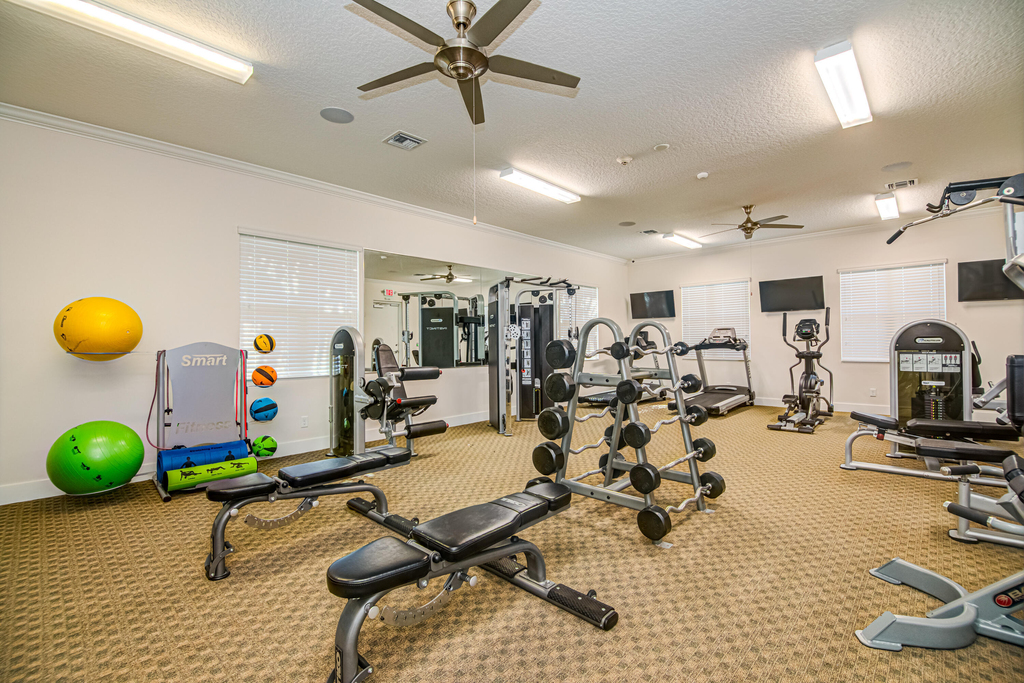 15688 Italian Cypress Way - Photo 49