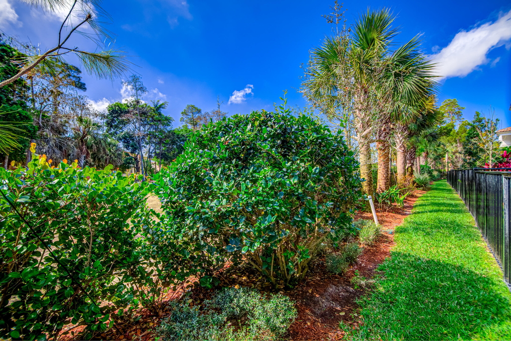 15688 Italian Cypress Way - Photo 64