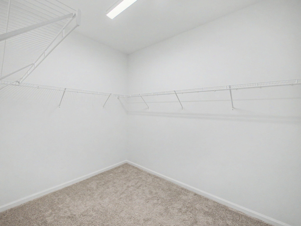 11805 Sw Lyra Drive - Photo 13