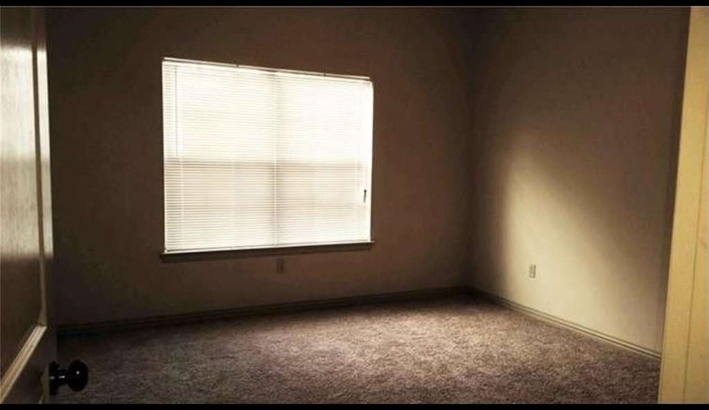 3713 Pearl Trail - Photo 3