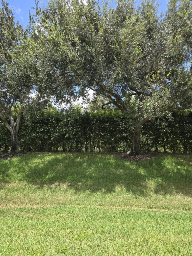 2680 Clipper Circle - Photo 2